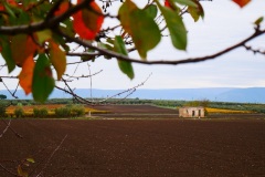 22_località-Mezzana-della-Terra