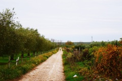 32_località-La-Castagna