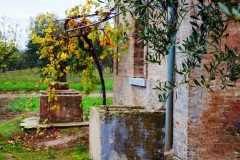 42_località-Mola