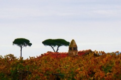 45_località-Mola