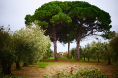 50_località-SantAndrea