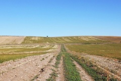 06_serra-Traversa
