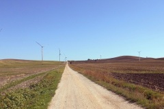 10_Monti-Curato