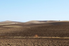 12_Monti-Curato