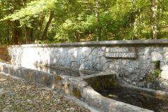 DSCN1861