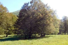DSCN1863