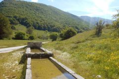 DSCN1867