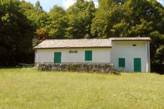 DSCN1870