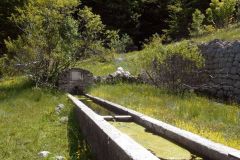 DSCN1873
